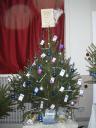 VWC Whole Tree